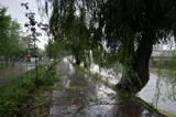 Vreme călduroasă, apoi furtuni puternice. ANM anunță ploi torențiale, vijelii și grindină în mai multe zone din țară