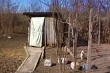 Guvernul dă aproape 8 milioane de lei ca să scape de școlile cu veceu în fundul curții
