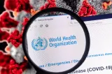 Ce virusuri au potențialul de a provoca o nouă pandemie. Ce arată catalogul global al factorilor patogeni