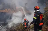 Incendiu de vegetație pe insula Evia: două localități evacuate