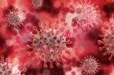 COVID-19 revine în forță în China. Aproape 79.000 de infectări într-o lună, iar coronavirusul a depășit gripa