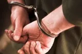 Cruzime fără margini în Gorj. Un bărbat a fost reținut după ce a ucis doi pui de pisică