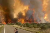 Balcanii resimt efectele valului de caniculă din Europa. Autoritățile avertizează asupra riscului de incendii de vegetație