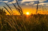Europa se confruntă cu un val de căldură extremă. Record istoric de temperatură în Franța, alerte maxime în Spania și Italia