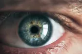 Parazitul care infectează o treime din populația lumii și poate afecta grav vederea. Avertismentul cercetătorilor