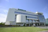 Romsilva respinge acuzațiile Dianei Buzoianu: „Nu am acordat prime din 2023 până în prezent”