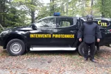 Amenințare cu bombă la Tribunalul și Judecătoria Vaslui. Clădirea, evacuată de urgență