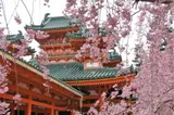 7 metode japoneze care te ajută să te apuci de treabă chiar și când nu ai chef