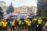 Preluarea Azomureș de către Romgaz, analizată de Consiliul Concurenței
