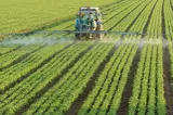 Agricultura românească se lovește de ușile băncilor. Antreprenorii români pierd cursa pentru dezvoltare