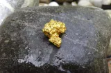Obiectul pe care milioane de oameni îl aruncă la gunoi ascunde aur de 22 de carate. Descoperirea făcută de cercetători