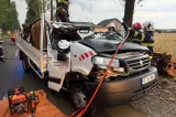 Vremea a făcut ravagii în România: bărbat mort după ce un copac a căzut peste o mașină în timpul furtunii