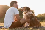 Primul „animal de companie” al omenirii nu a fost câinele. Descoperirea care schimbă istoria