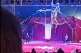 Clipe de coșmar la circ. Un acrobat s-a prăbușit de la înălțime în timpul spectacolului și a căzut peste spectatori - VIDEO