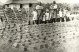 75 de ani de la „Rusaliile negre”. Cum a trimis Gheorghiu-Dej zeci de mii de "chiaburi" în Bărăgan