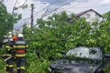 Furtuna a făcut prăpăd în județul Neamț. Copaci doborâți și mașini distruse