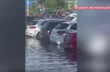 Furtuna a făcut ravagii în mai multe zone ale țării. Ploi torențiale cu grindină în mai multe județe