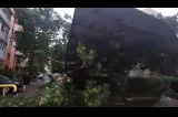  Prăpăd în Buzău, după furtună. Copaci prăbușiți, acoperișuri smulse și intervenții de urgență ale pompierilor