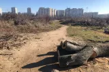 Noi întârzieri în dosarul retrocedărilor din Parcul IOR: instanța a schimbat completul de judecată