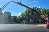 Pericol pe șosea. Stâlp căzut printre mașini