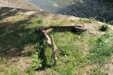 Marea curățenie din Herăstrău. Biciclete, scaune și trotinete, scoase la lumină de pe fundul lacului