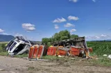 Accident neobișnuit în județul Brașov. Un TIR plin de curcani s-a răsturnat, iar zeci de păsări au invadat șoseaua