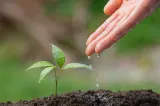 Lovitură pentru agricultori. Până la 5 ani de închisoare pentru captarea ilegală a apei din surse de suprafață și subterane