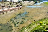 Alertă hidrologică în România. Apele Române: Debitul Dunării se apropie de minimul istoric
