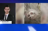 Cod galben de vreme severă: furtunile continuă și în zilele următoare. Noile date de la ANM