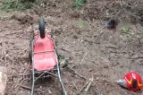 Bărbat de 30 de ani, ucis de un copac într-o pădure din Neamț. Salvatorii au încercat minute în șir să-i salveze viața