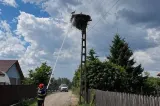 Misiune inedită pentru pompierii din Buzău: au salvat trei berze dintr-un cuib cuprins de flăcări