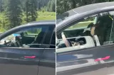Mamă surprinsă dormind la volanul unei Tesla cu doi copii mici în spate. Incidentul reaprinde disputa privind pilotul automat - VIDEO