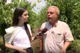 Agricultura, aproape de colaps. Mesajul fermierilor români - REPORTAJ REALITATEA PLUS