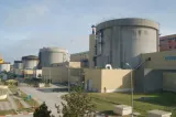 Nuclearelectrica, interesată să cumpere 300 de tone de uraniu din Niger. Compania neagă semnarea unui contract