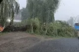 Prăpăd după furtuna de Cod Roșu din județul Sibiu: cartiere inundate, mașini strivite de copacii căzuți - VIDEO