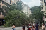 Furtună violentă în Rio de Janeiro și São Paulo: cinci oameni au murit, iar rafalele de peste 100 km/h au paralizat transportul - VIDEO