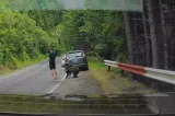 Imagini virale pe Transfăgărășan: un urs, la câțiva centimetri de un turist. Tânărul pare să nu-l observe VIDEO