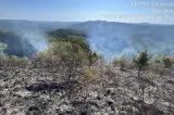 Situație critică în Banat, incendiile de vegetație se extind. Pe lângă elicopterele Black Hawk, au fost suplimentate forțele de pompieri – VIDEO