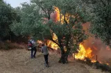 Primarul unui oraș din vestul Atenei, arestat preventiv în dosarul incendiului care a devastat peste 11.000 de hectare