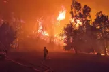 Incendii de vegetație în sudul Franţe. Pompierii români continuă misiunea de sprijin a autorităţilor franceze pentru stingerea flăcărilor 