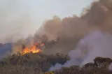 Incendiu devastator de vegetație: 45.000 de oameni afectați. Suspectul a fost arestat