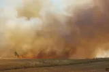 Incendiu de proporții în Mehedinți. Au ars zeci de hectare de pădure și vegetație – VIDEO
