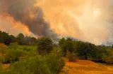 Incendiile devastatoare și furtunile extreme au un numitor comun. Ce spun specialiștii