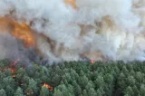 Flăcările continuă să devasteze pădurea Fontainebleau, de lângă Paris. Două persoane au fost reținute