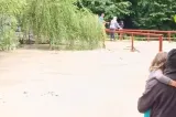 Furtunile și ploile au făcut ravagii în județul Prahova - VIDEO