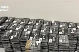 Captură record de cocaină în Italia: 770 kg ascunse printre banane. Droguri de 250 de milioane de euro