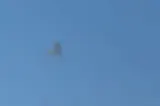 Momentul în care drona intrată în România a fost doborâtă de un F-16. Au apărut primele imagini de la locul impactului - VIDEO