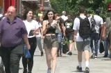 Operația metabolică prin care se modifică traseul alimentelor
