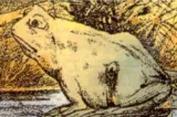 Iluzie optică virală: poți descoperi al doilea animal din imagine? Doar cei foarte atenți reușesc