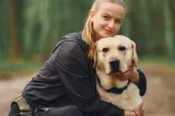 Câinele tău știe când ești fericit sau trist. Cercetătorii au descoperit cum „citește” companionul emoția de pe chip